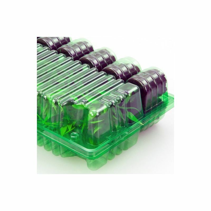 Clone Shipper - Multiple Sizes - Ship Plant Cuttings - 100Hr LEDs Optional