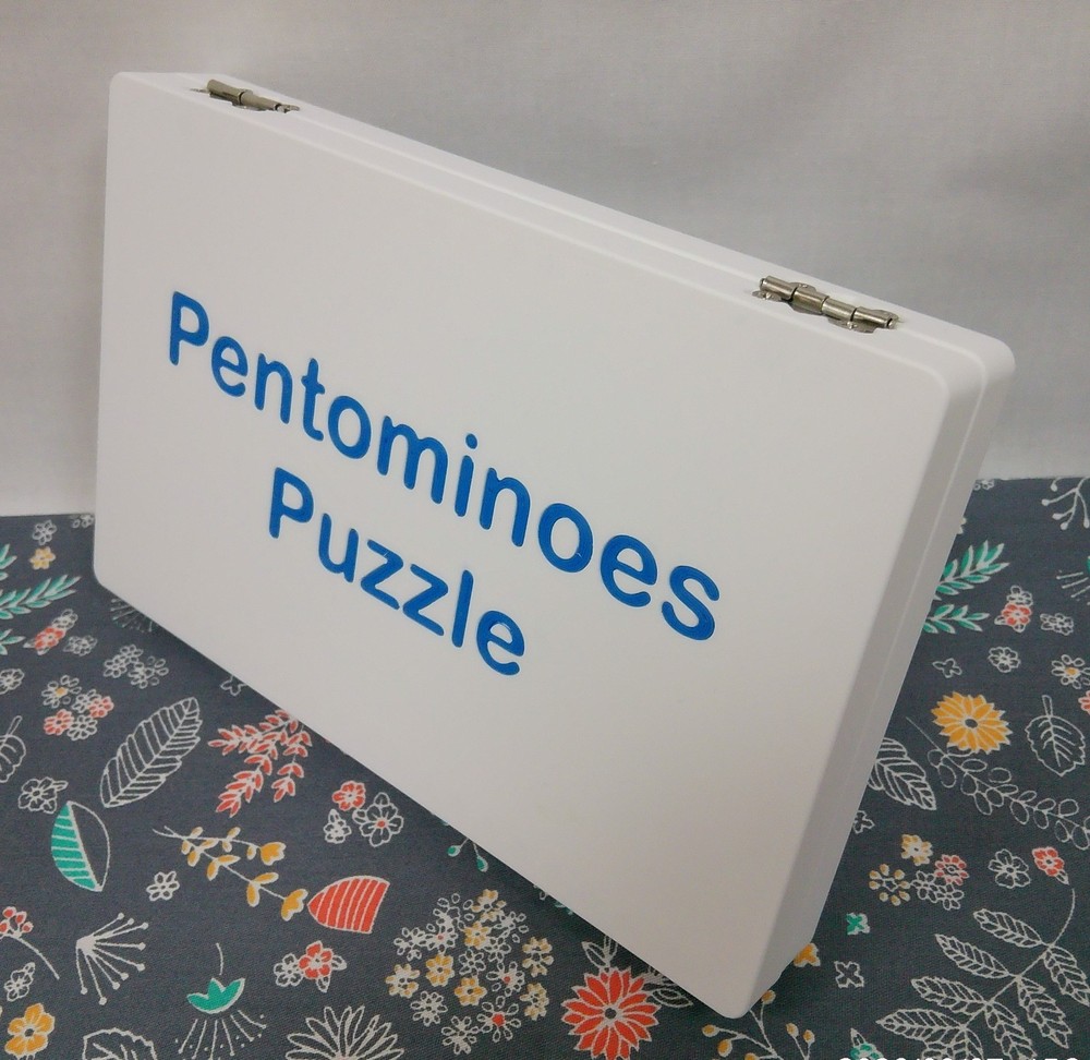 3-D Printed Pentominoes Puzzle