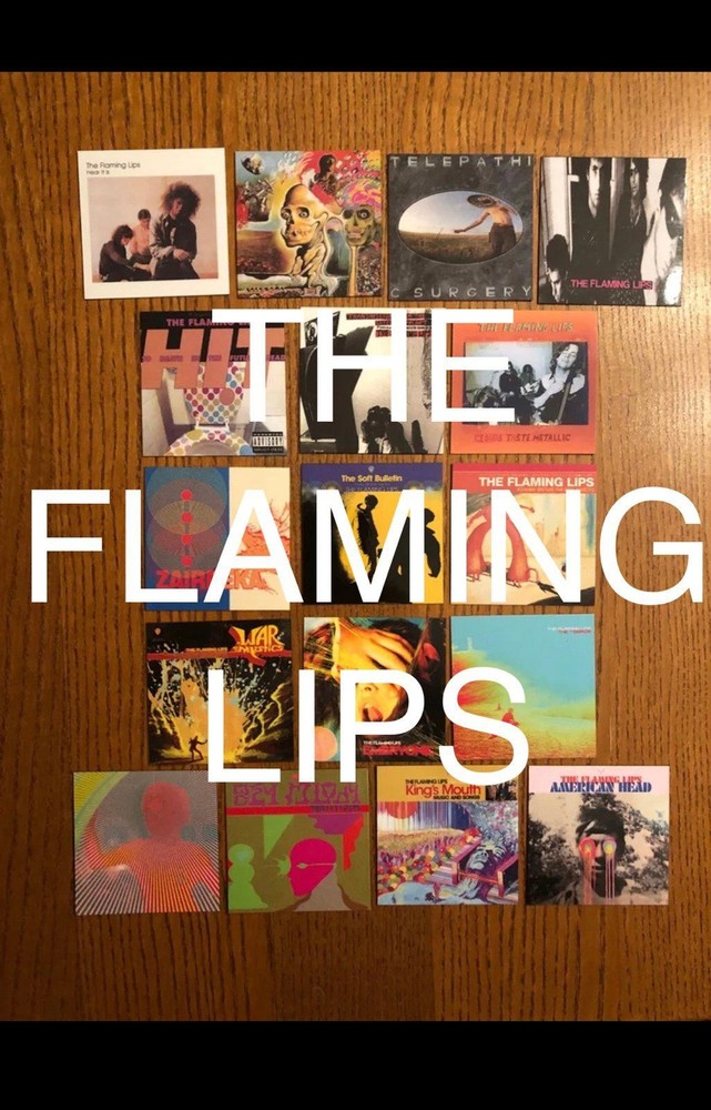 The Flaming Lips fridge magnets