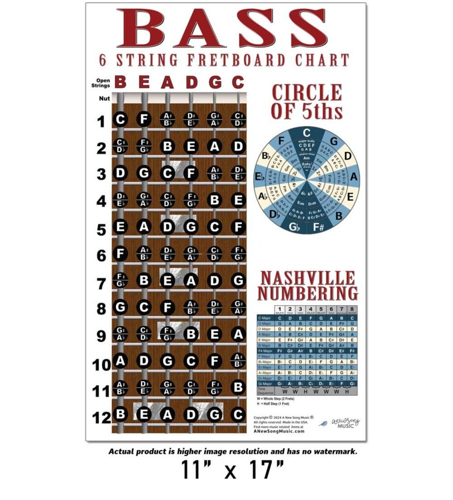 6 String Bass Fretboard Instructional Chart Poster Notes Theory