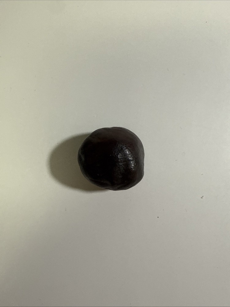 Lucky Buckeye Nut
