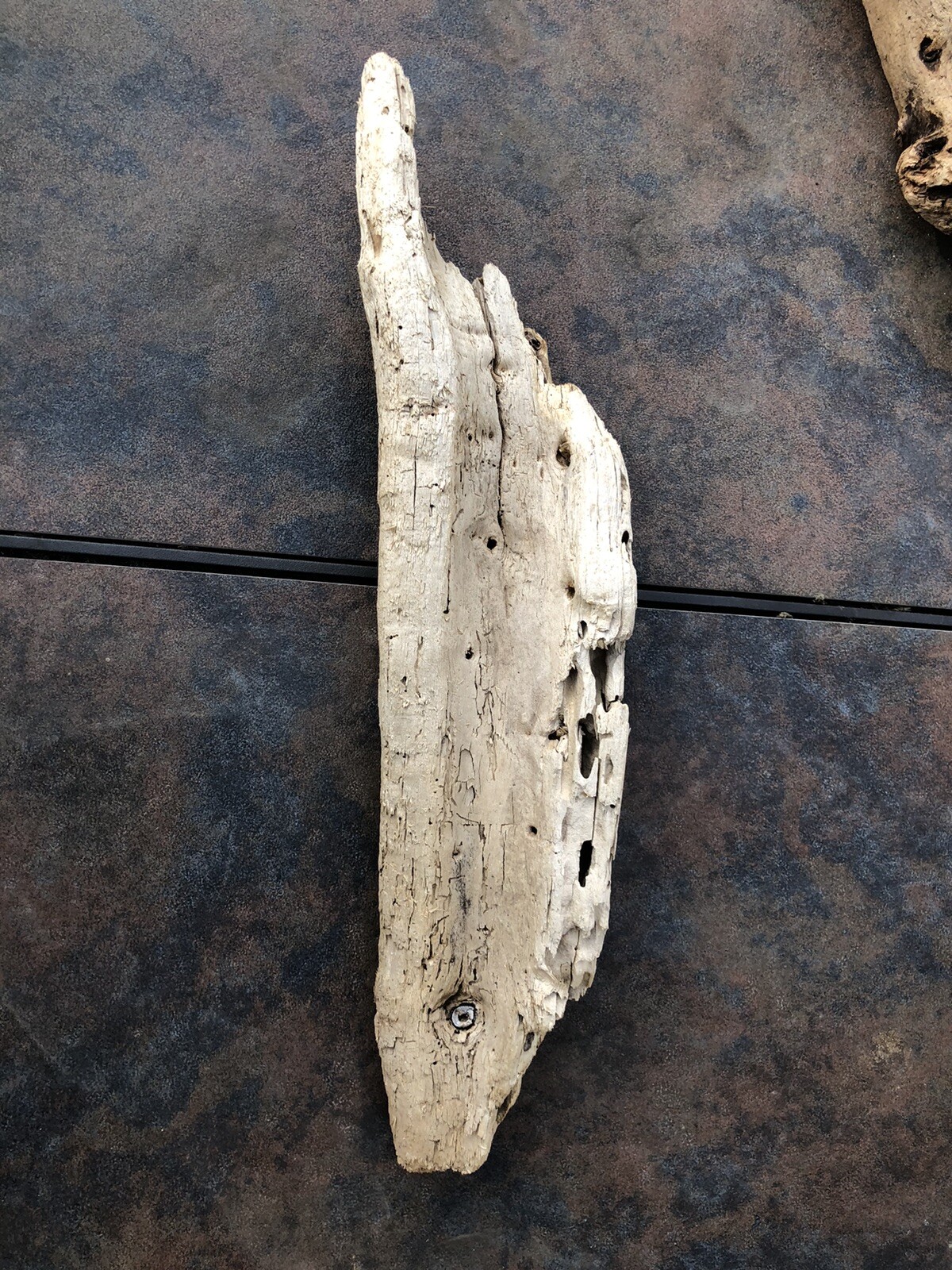 Natural Driftwood for Plants Terrarium Taxidermy Art Projects