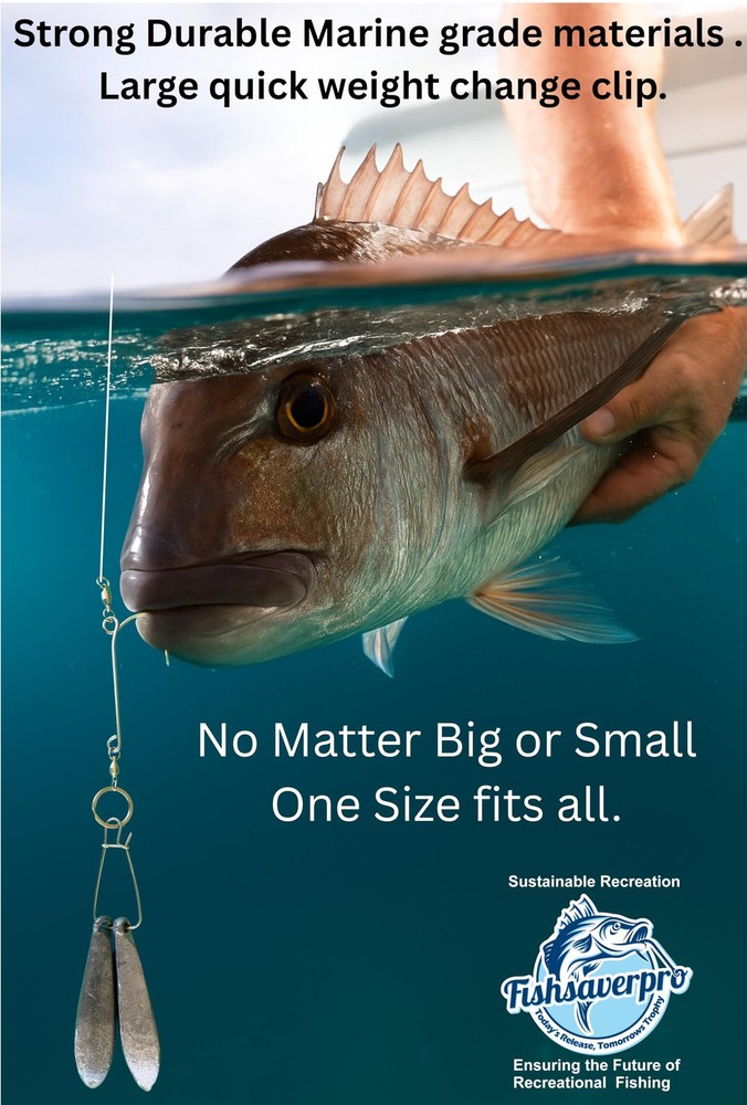 Fish descending release device compact NOAA compliant for deep drops