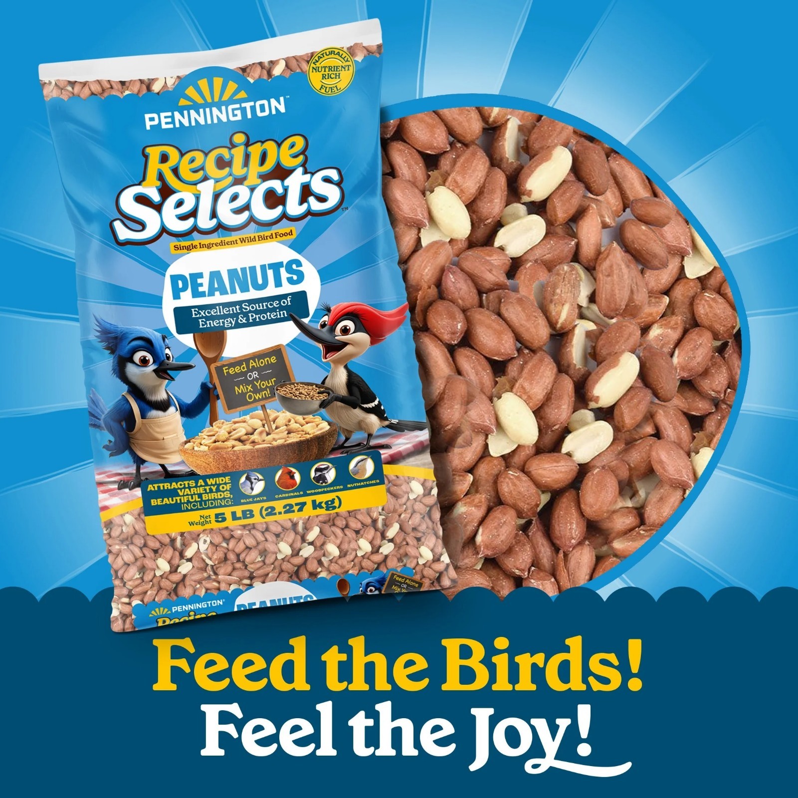 Pennington Shelled Peanuts Wildlife and Wild Bird Food, 5 lb. Bag, 1 Pack, Dry