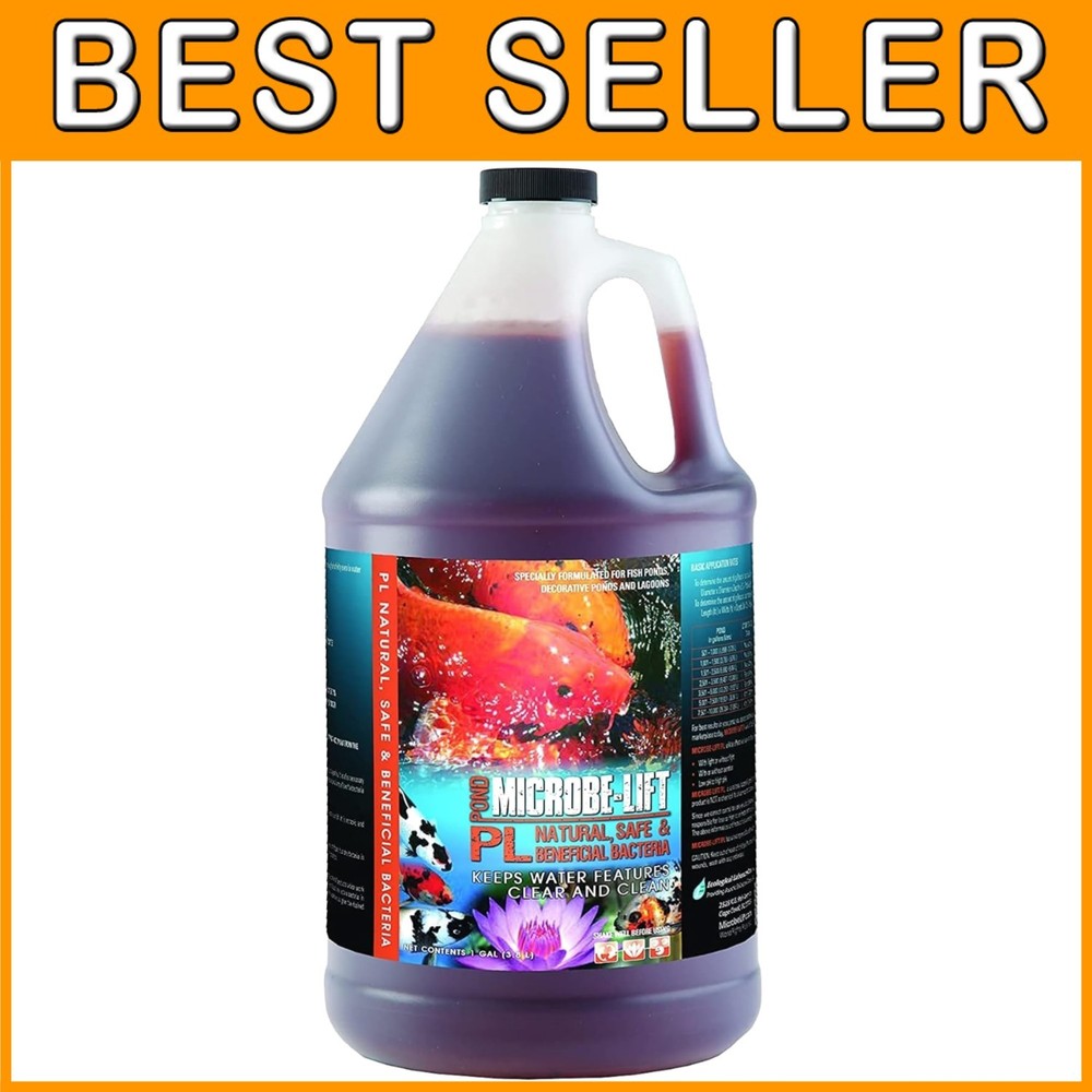 Effective Pond Maintenance Solution=