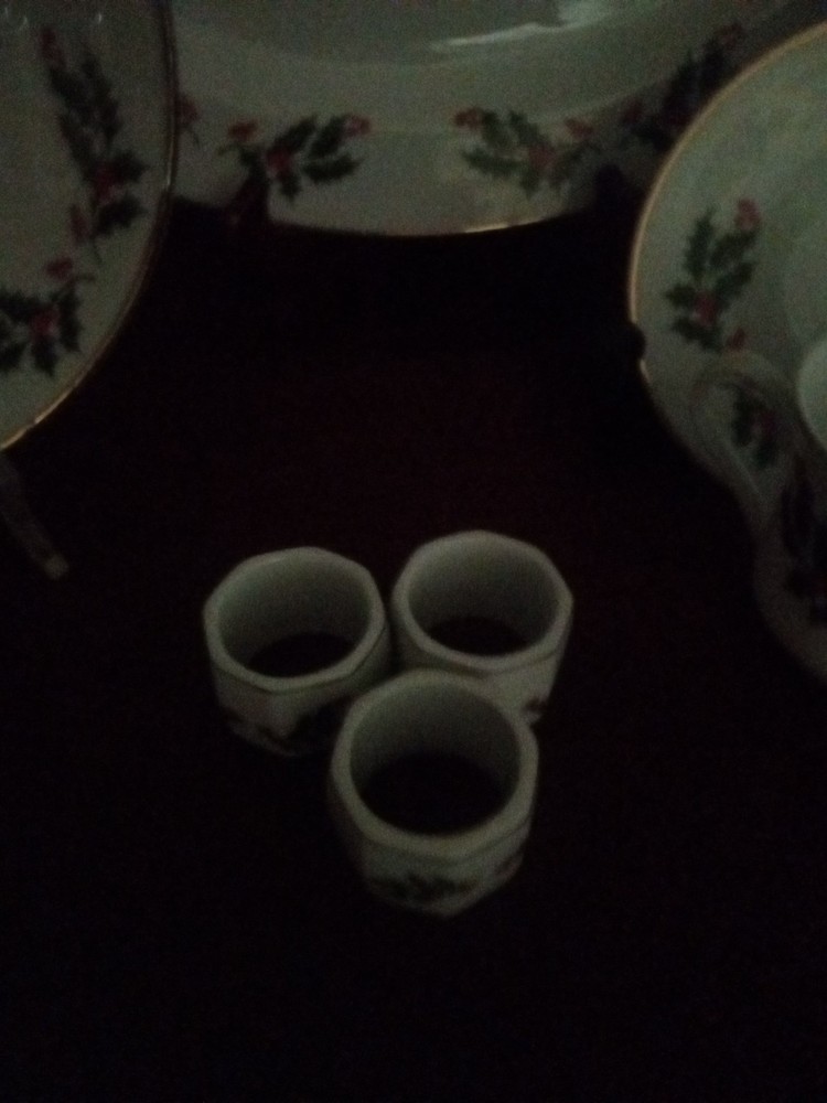 Holly Christmas Serving Dishes Lot