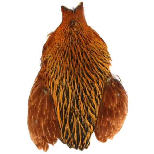 4 B Hen Cape