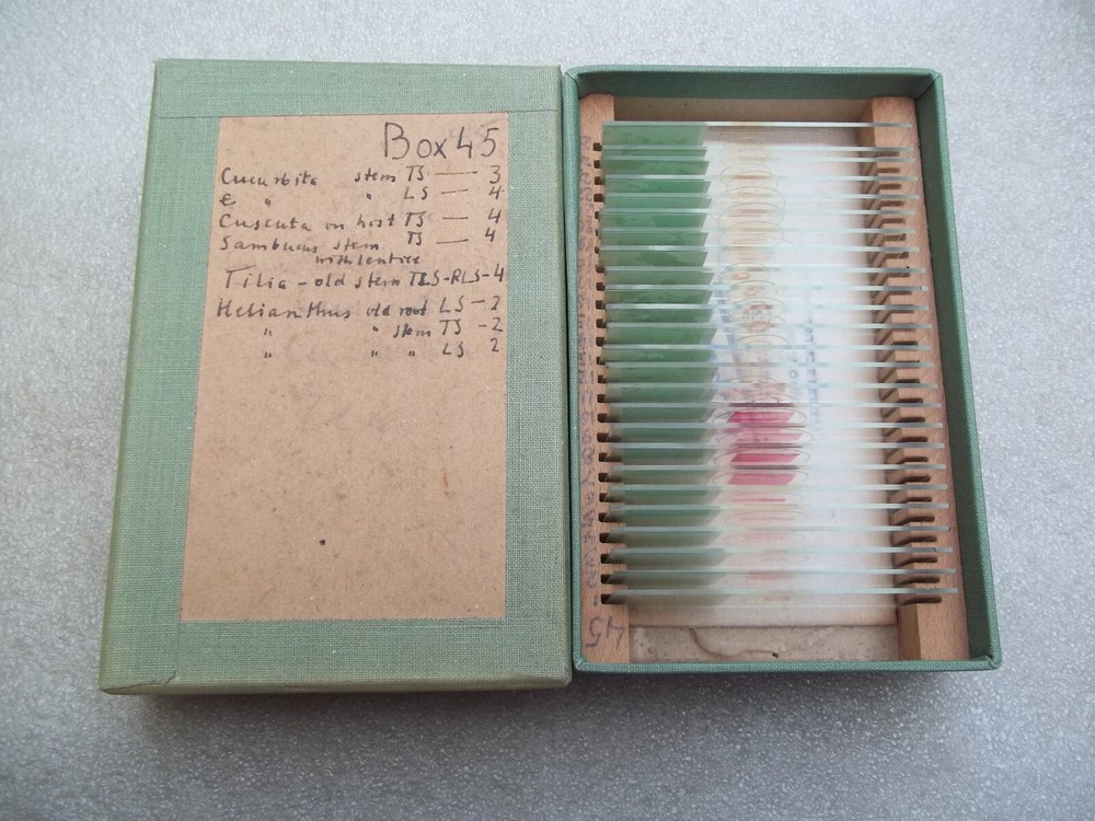 Vintage Glass Microscope Slides -