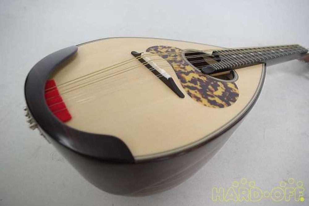 Miyano M-1 Mandolin-01