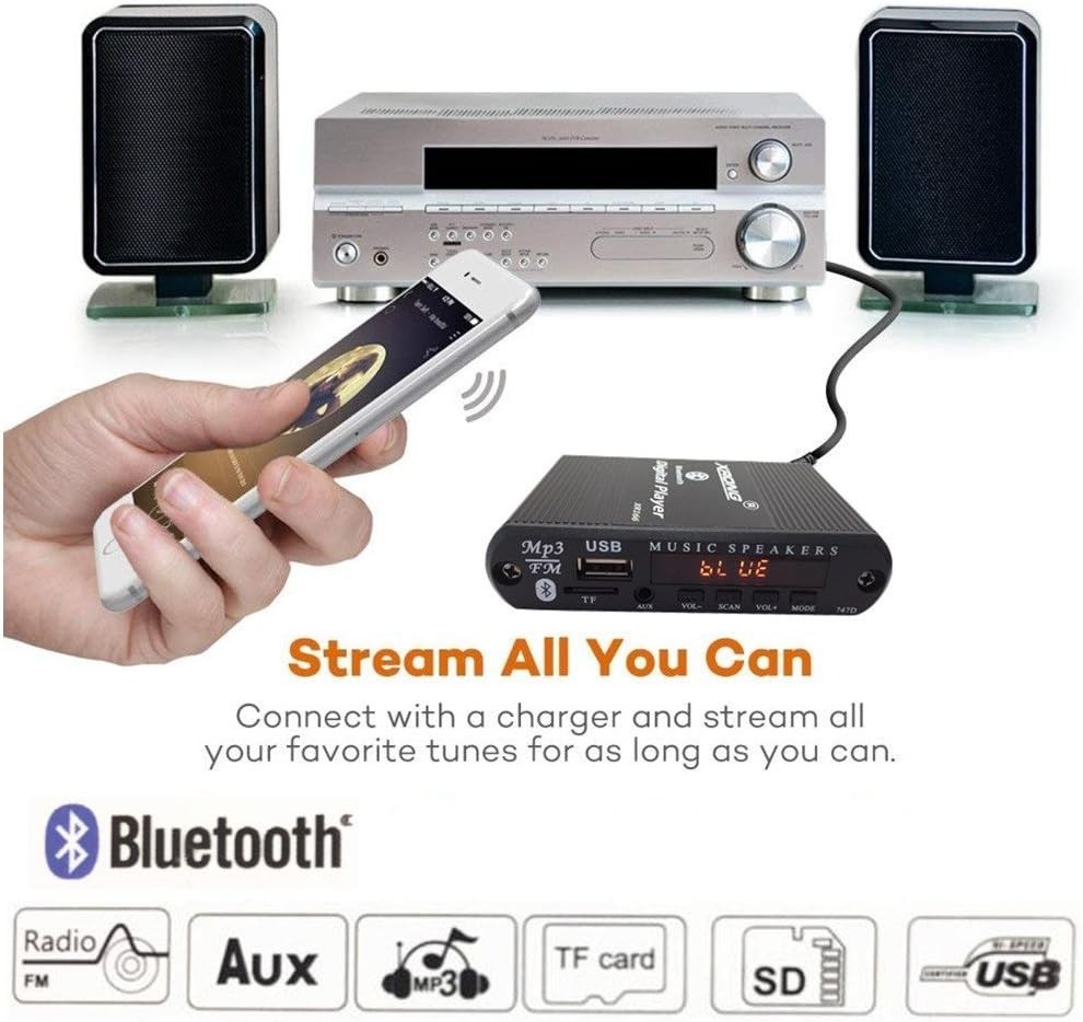 FM Radio Bluetooth Receiver with USB/SD Playback and Remote Control Convenience