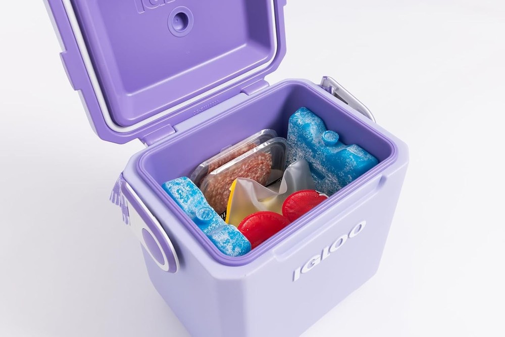 Igloo Maxcold Ice Blocks, Long Lasting Cold Freezer Packs Large, 2PK Large