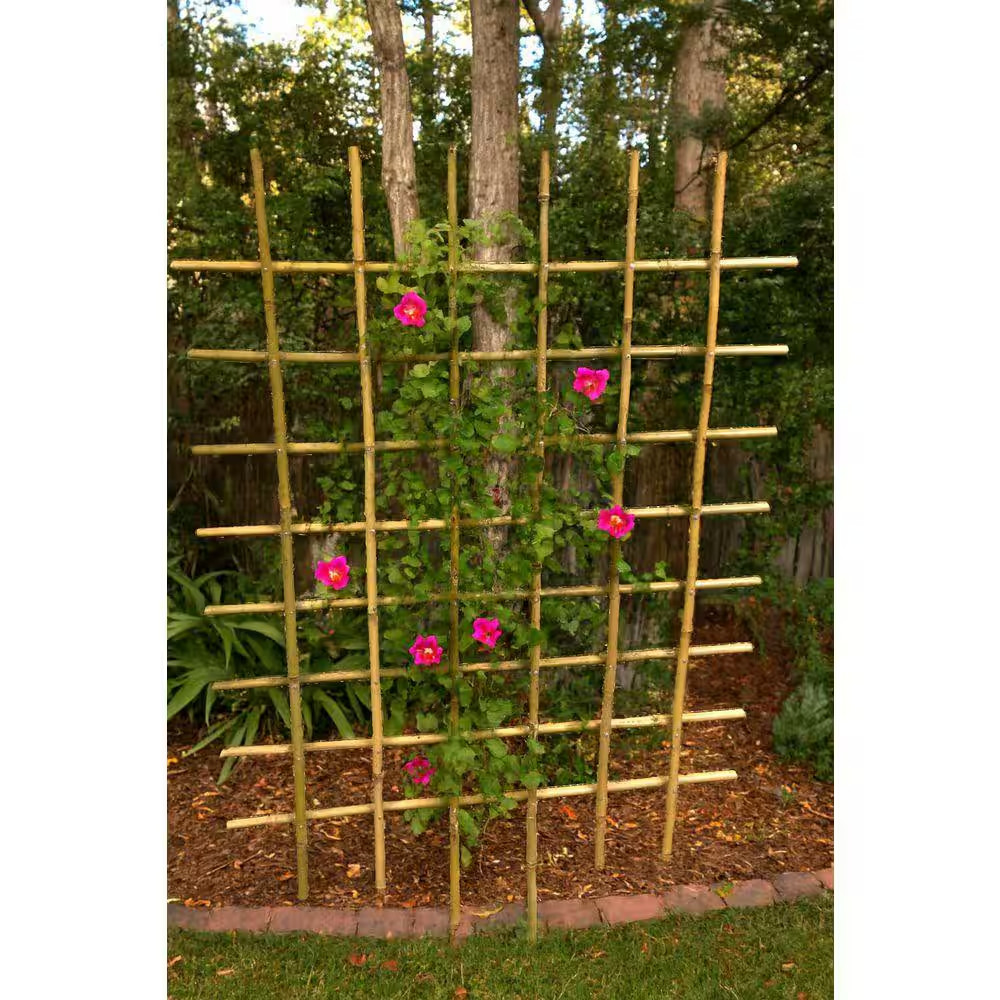 48 In. Bamboo Espalier Trellis