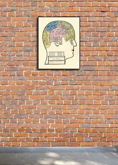1857 Phrenological Head Chart - Unusual Medical Poster - 24x30