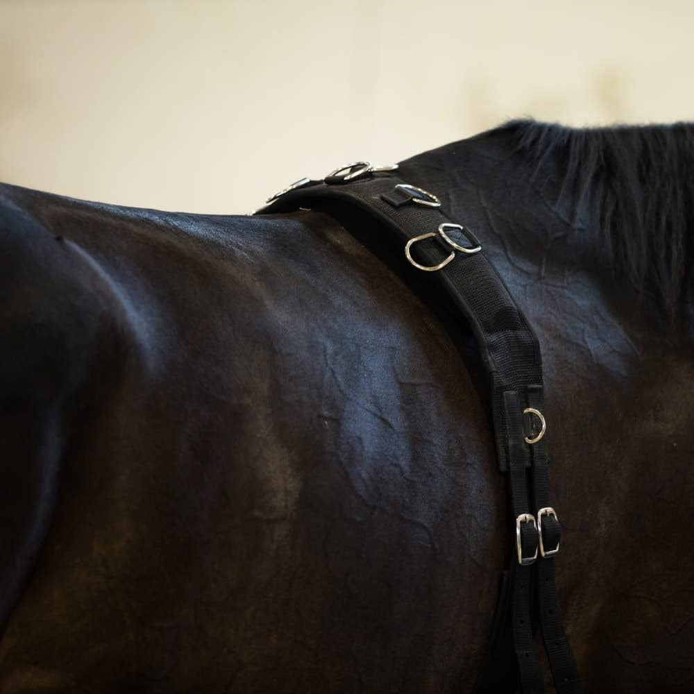 Lunging Surcingle for Horses | Nylon Roller for Training
