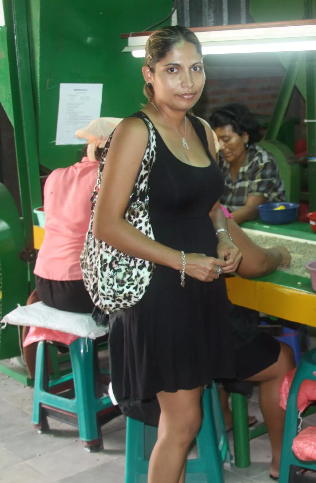 100% HAWAIIAN / KONA COFFEE BEANS MEDIUM ROASTED 2 / 12 POUNDS