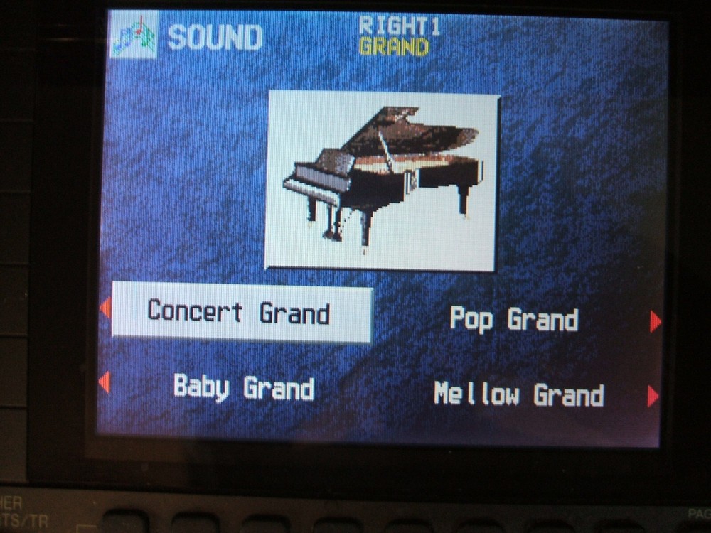 Technics PR602 "Custom Portable" 88note weighted keys Digital Workstation