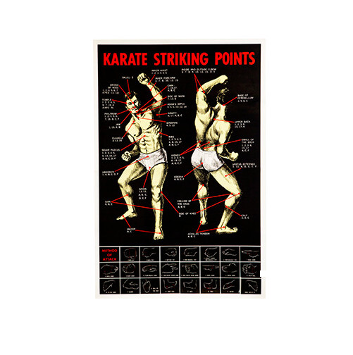 Pressure Point Dim Mak Striking Points Poster