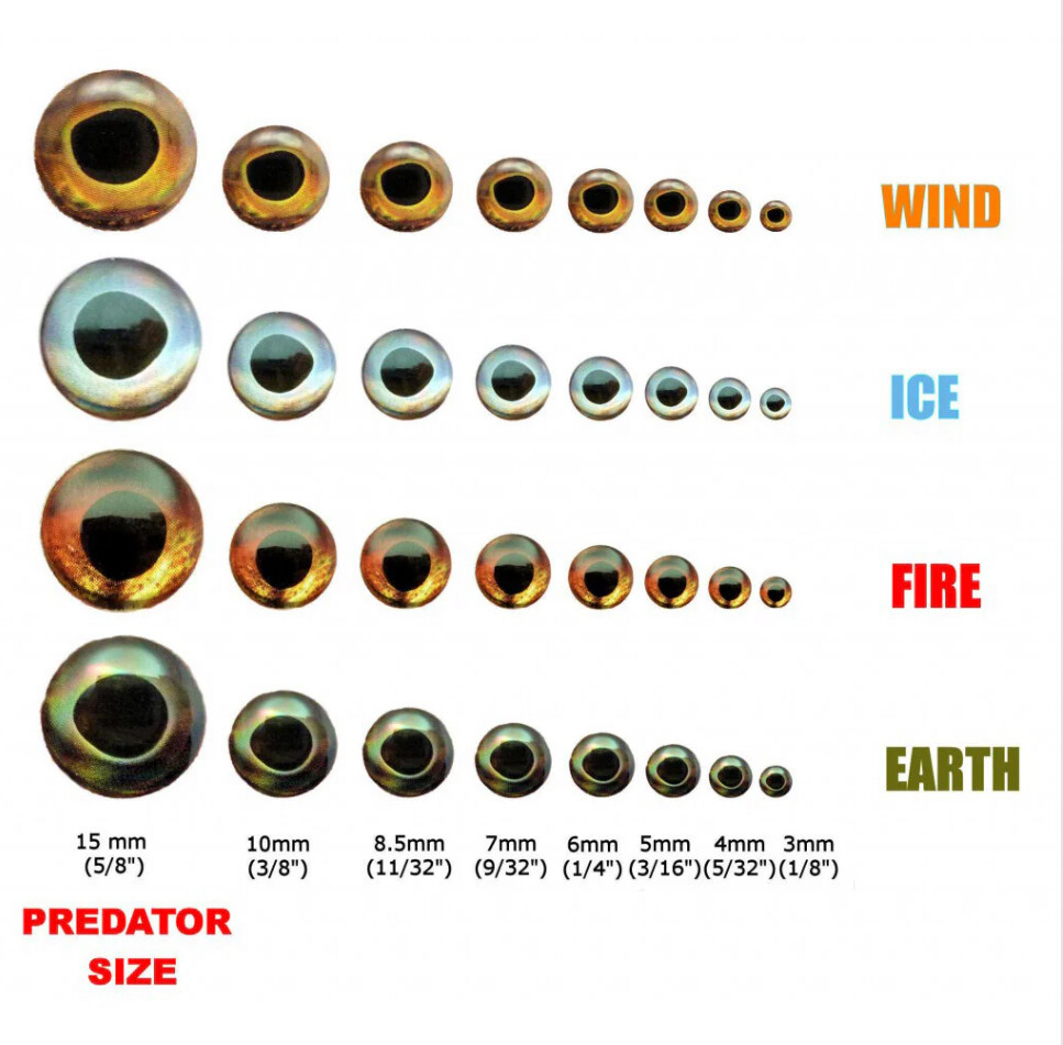 Fish Skull Living Eyes