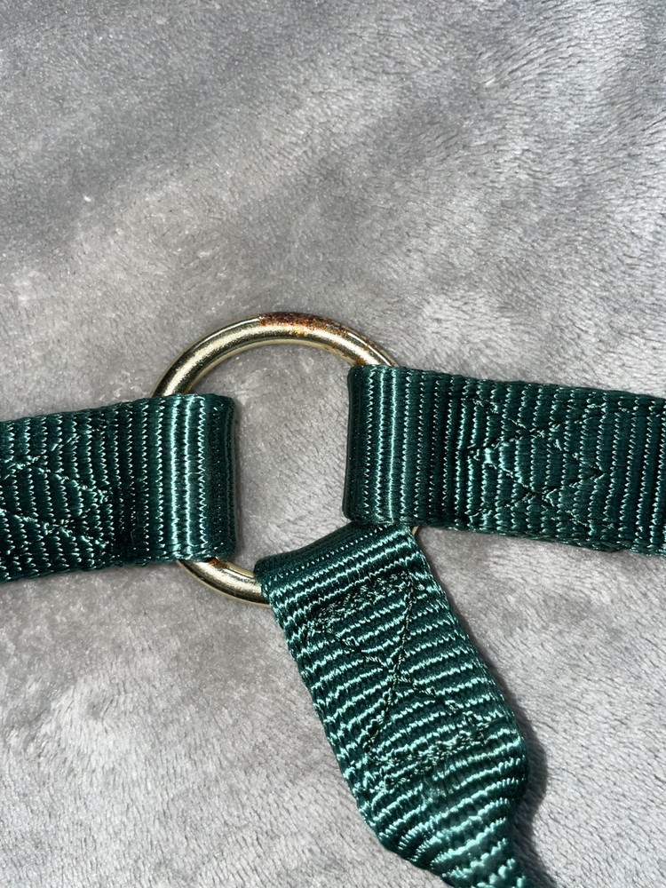 Hamilton Halter Green Adjustable Noseband Gold Tip size Average