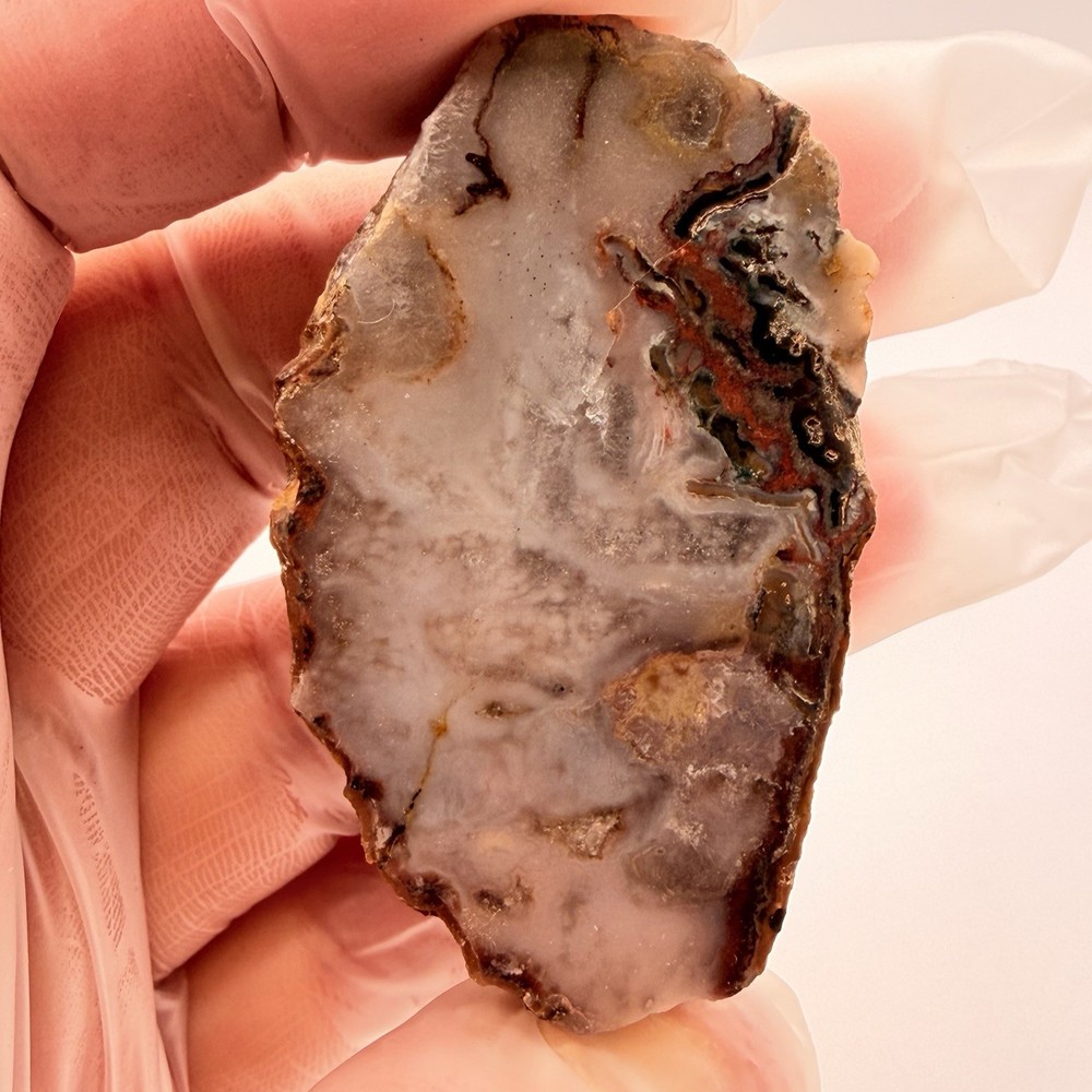 3pc Moroccan Agate Bundle 3.15oz Polished Fortification Moss Agate Slab Specimen