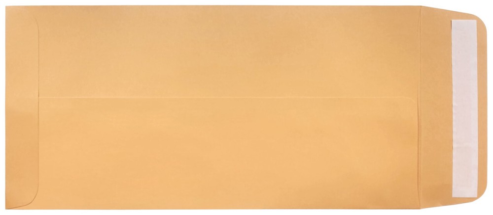 License Plate Mailing Envelopes