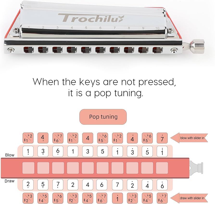 JDR Trochilus 10 Hole Slide Chromatic/Diatonic Harmonica