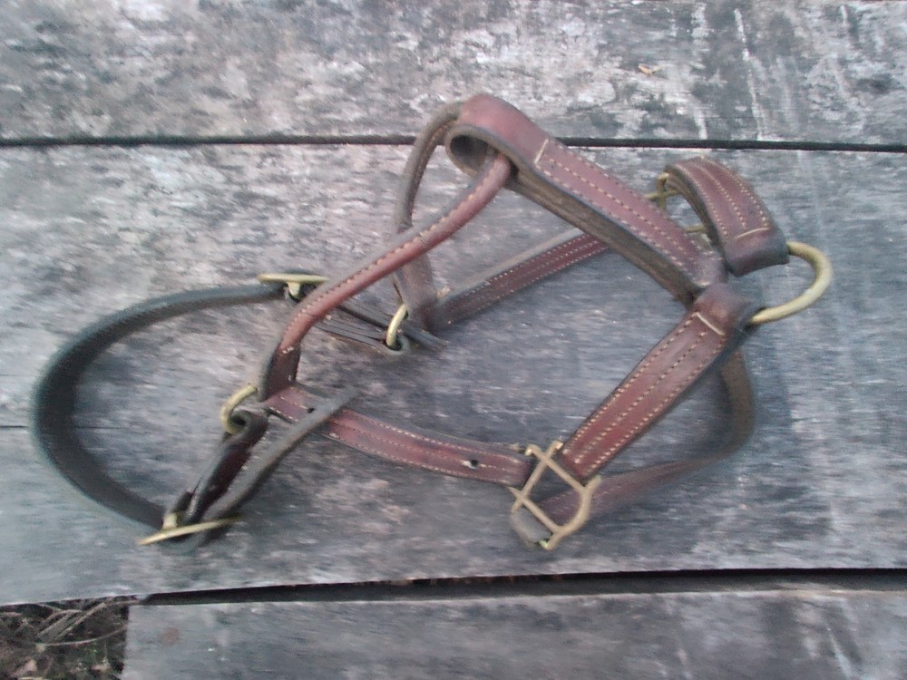 Horse Halter Copper Hardware