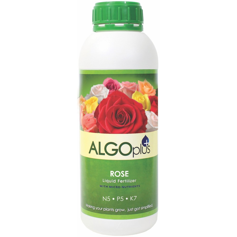 Algoflash AlgoPlus Rose 5-5-7
