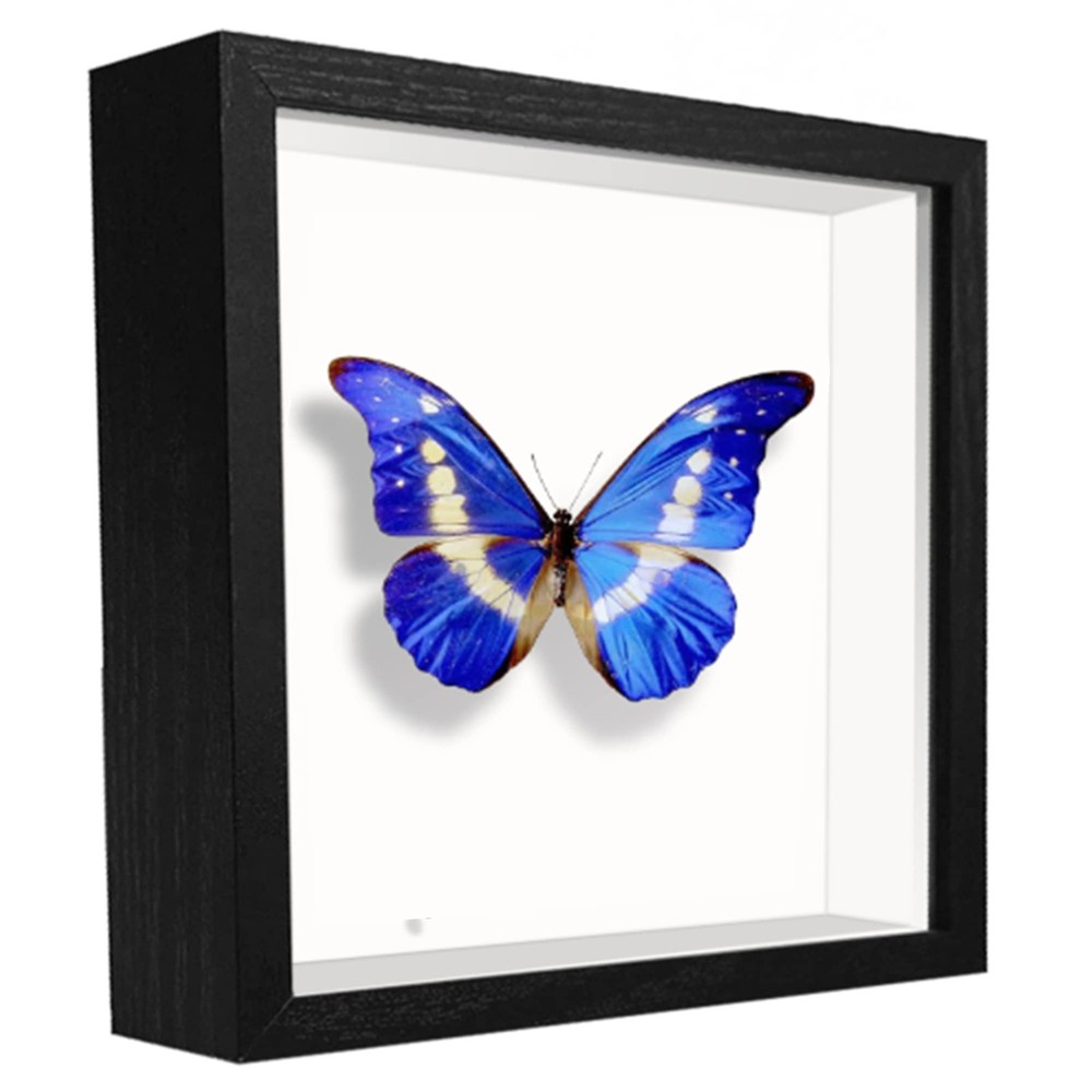 5x5 Small Shadow Box Frame Wood Display Case for Memorabilia