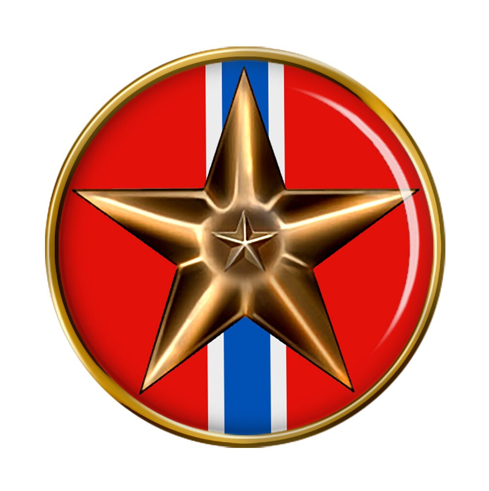 Bronze Star Medal Pin Badge
