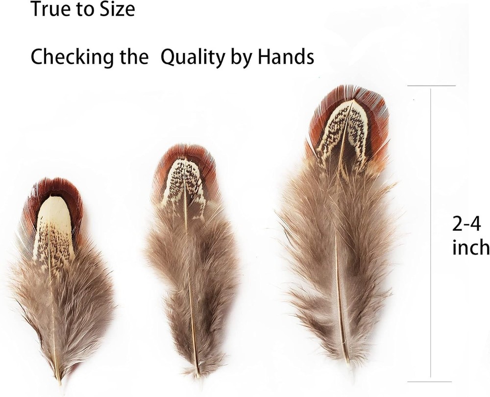 100 pcs Eco-Friendly Pheasant Feathers 2-3 inch for Crafting & Decorating