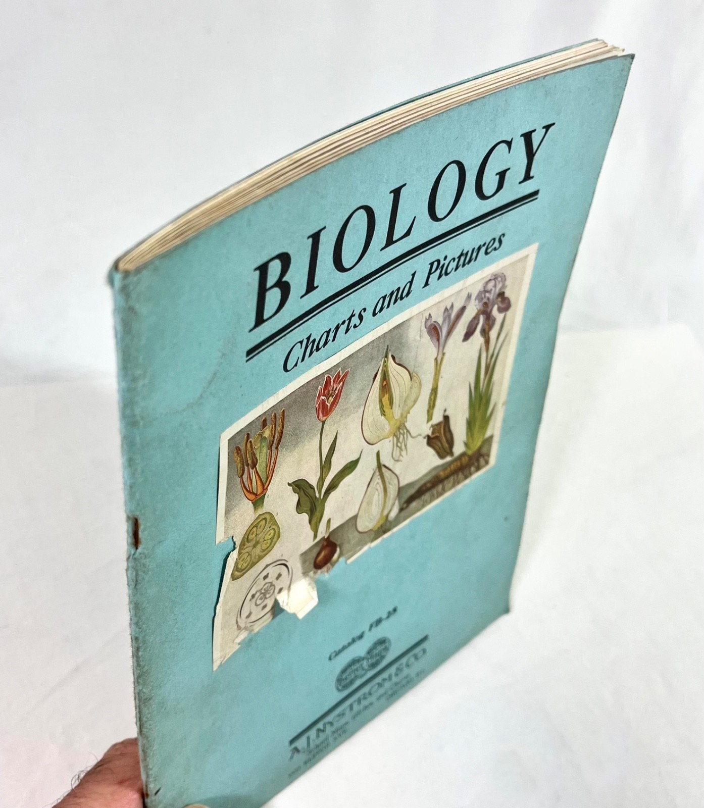 Rare 1928 A.J Nystrom Sales Catalog FB-28 Europe Charts Biology Medical Anatomy