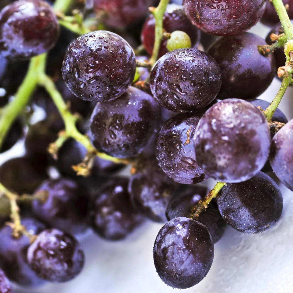 Grape Fragrance Oil