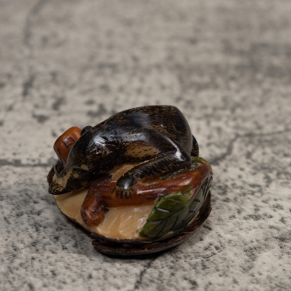 Rainforest Coatimundi Tagua Carving