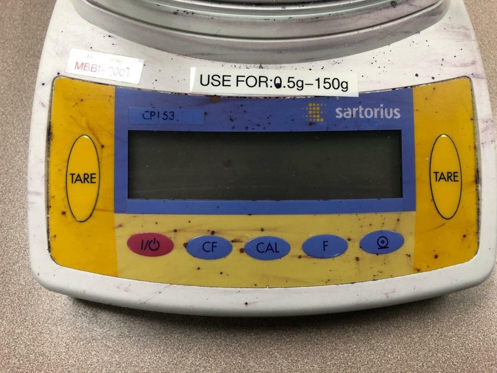 Satorious CP153 Top Loading Balance