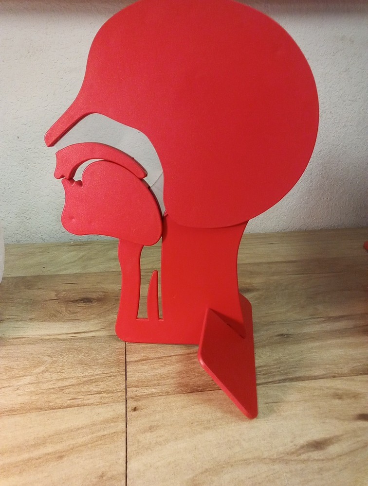 Laerdal Head Section Model (Made In Norway)