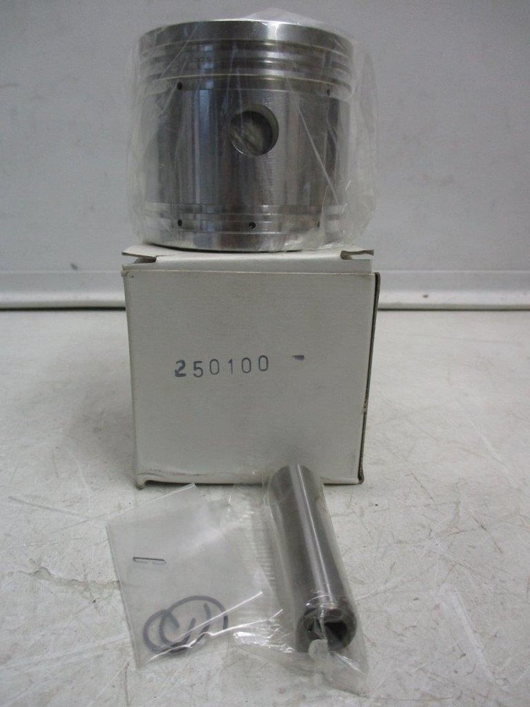 Bendix Piston BENP250100 5-Ring with Pin STD