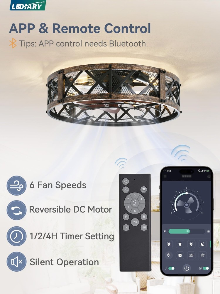 20" Caged Ceiling Fan With Light, APP&Remote Control, Small Flush Mount Farmh...