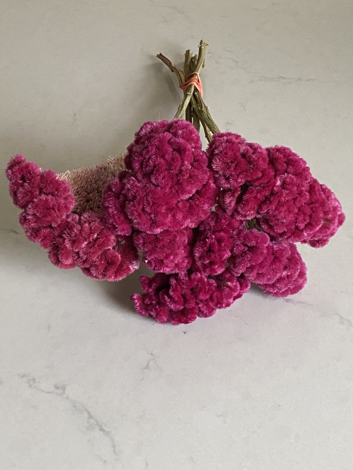 COCKSCOMB Celosia DRIED FLOWERS Bunch BOUQUET Bundle Wedding ++ Assorted