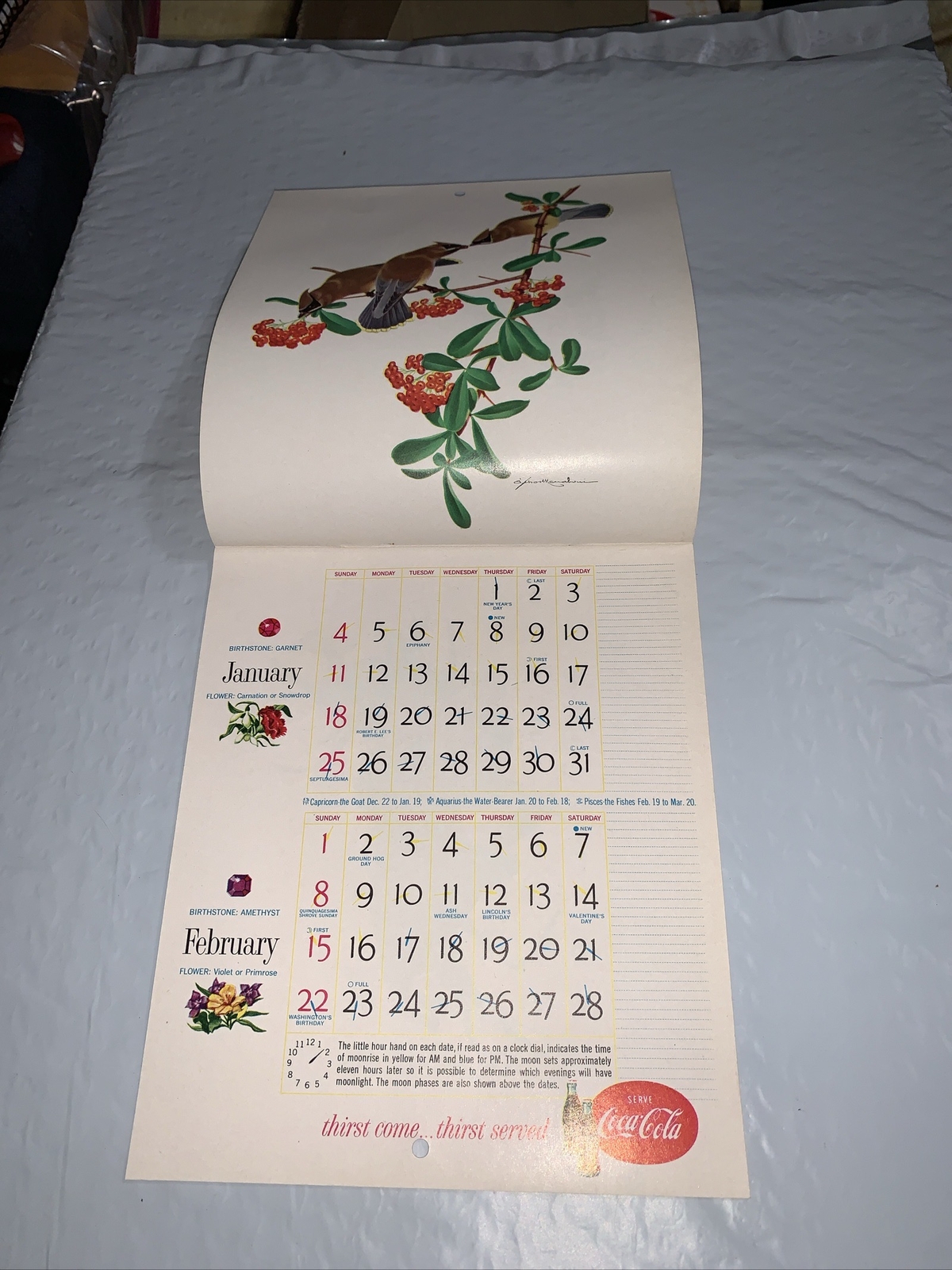 Original 1959 Coca Cola Calendar of American Birds 7 x 12” by ATHOS MENABONIL
