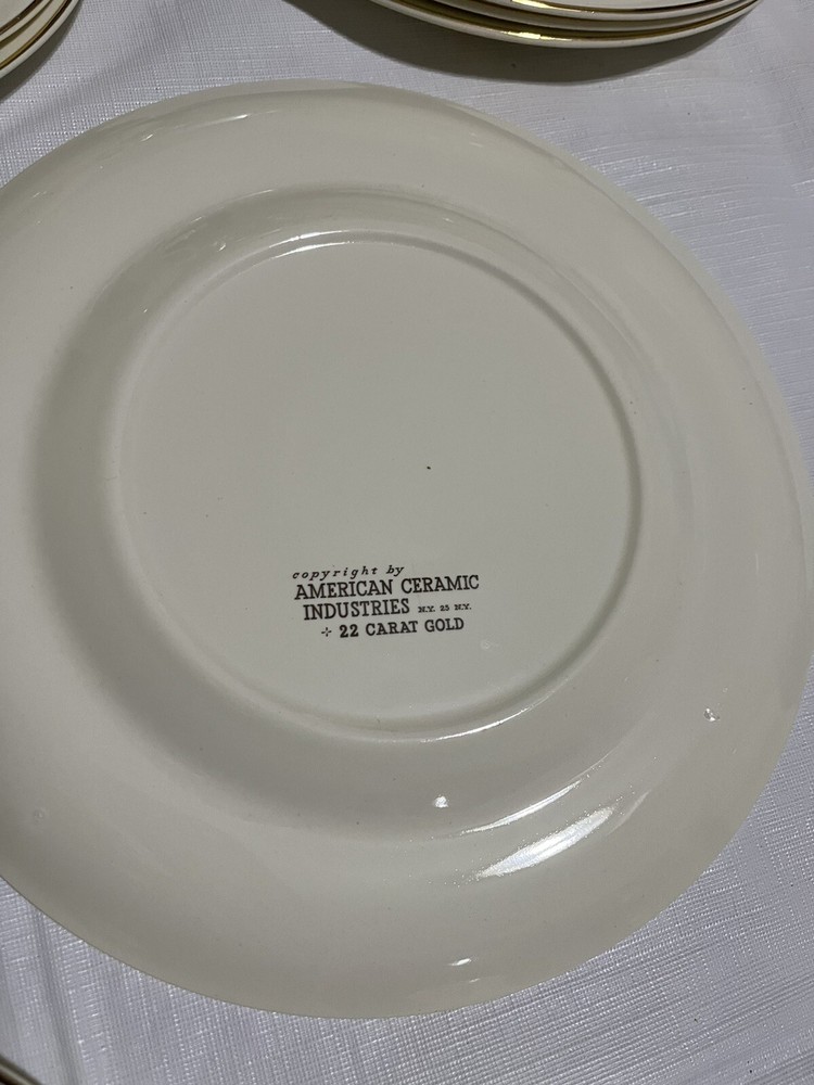 Rare 16 Piece Set American Dinnerware