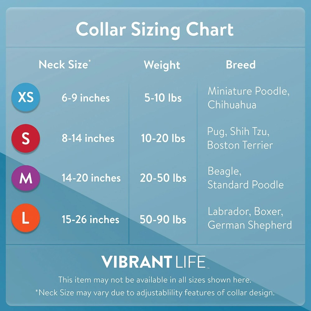 Vibrant Life Polyester Adjustable Dog Collar, Green,