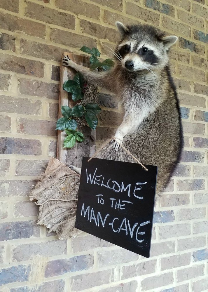 Unique Raccon Messenger Mount - NEW