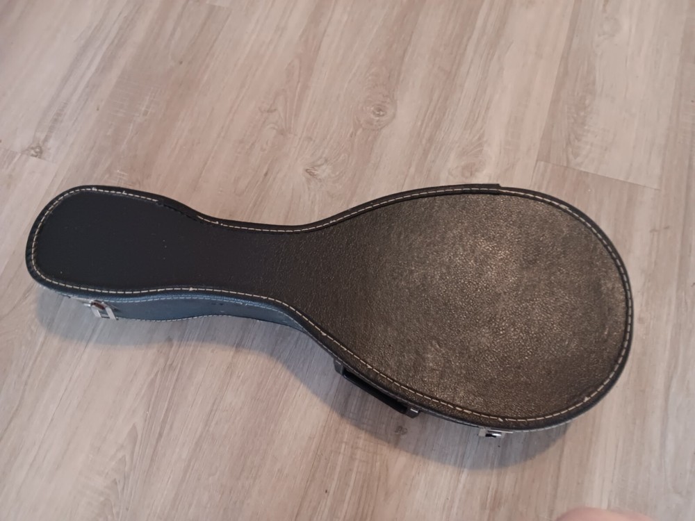 Lyle LM-200 Mandolin