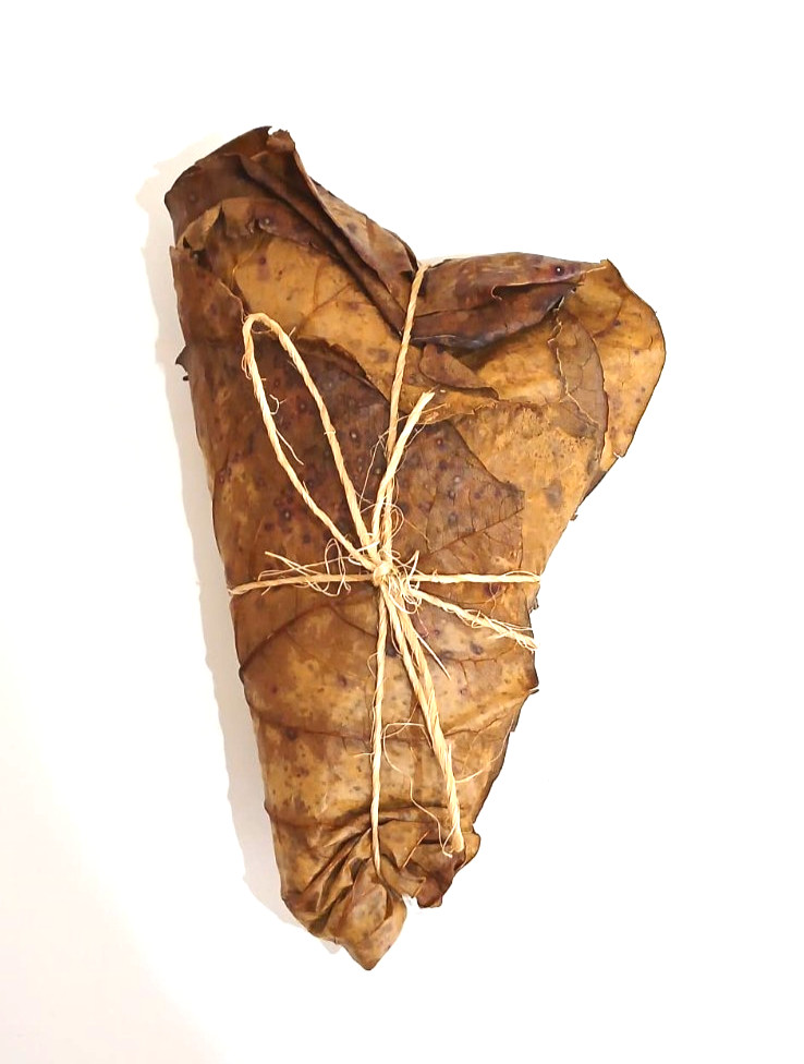 Cattapa Indian Almond Leaves from Caribbean 40 dry leaves