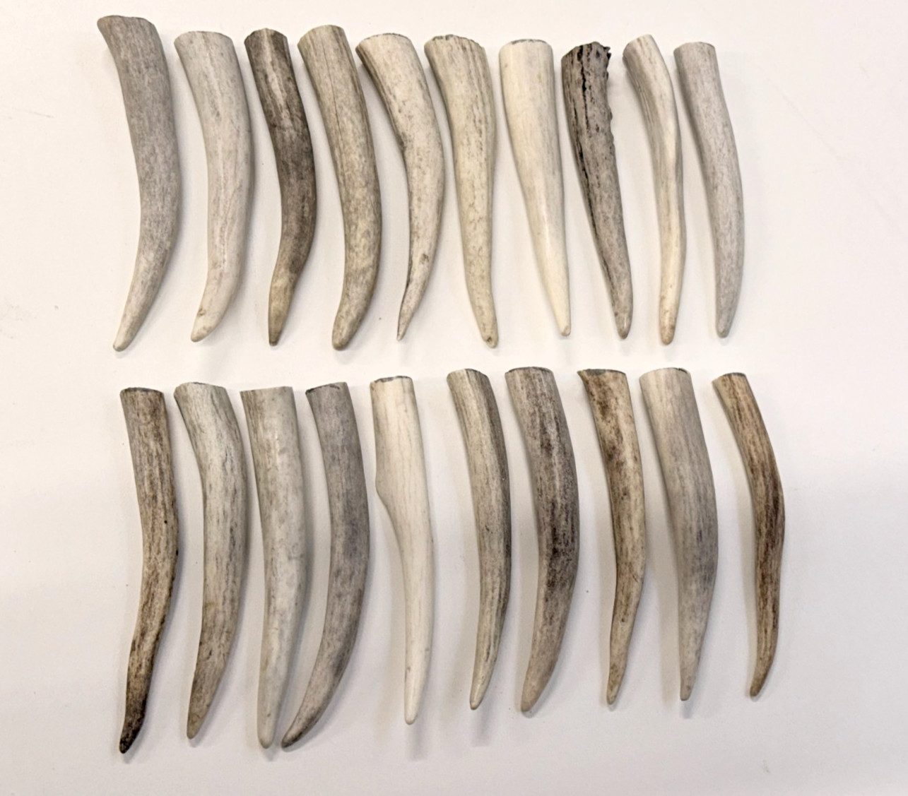 Deer Antler Tips (4"), Rustic Ornaments, Natural Jewelry Supplies (10 pc)