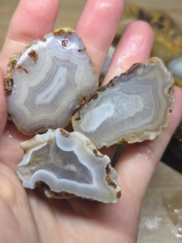 Mix Agate Rough Lot - End Cuts & unpolished halves - B2