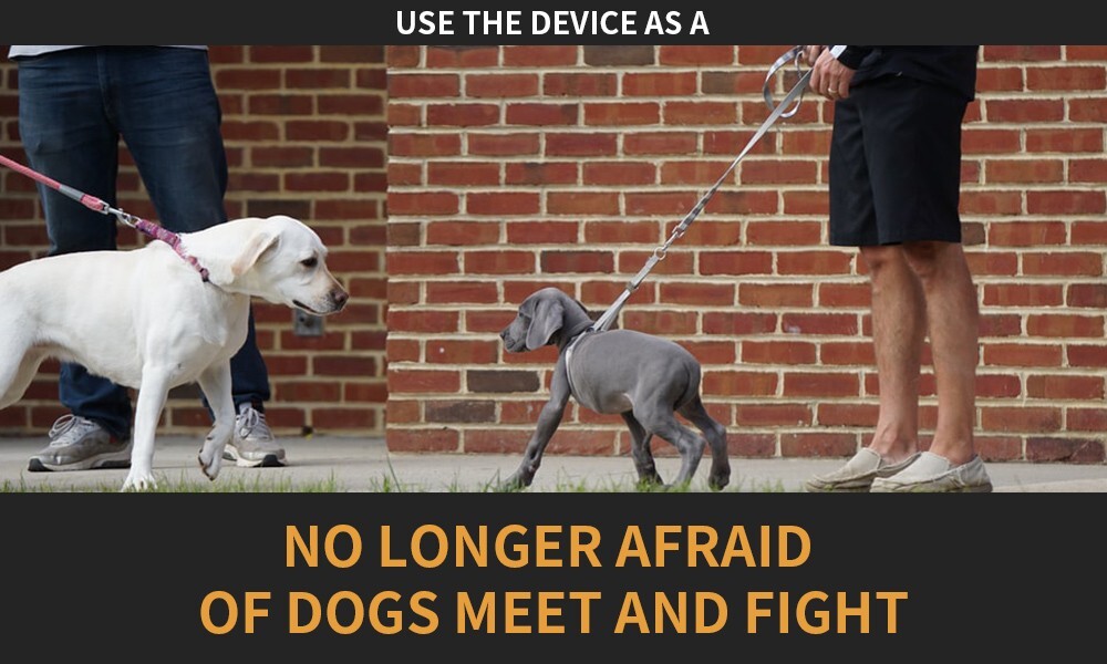 LED Ultrasonic Dog Trainer Barking Control Device Pet Repeller Training Tool