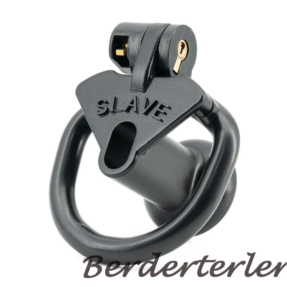 Sissy Positive/Negative Mini Chastity Cage Lock with Plug Slave 4 Sizes Rings
