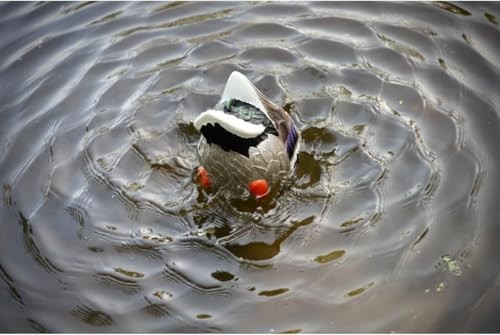 Mojo Butt Up Rippler, Mallard